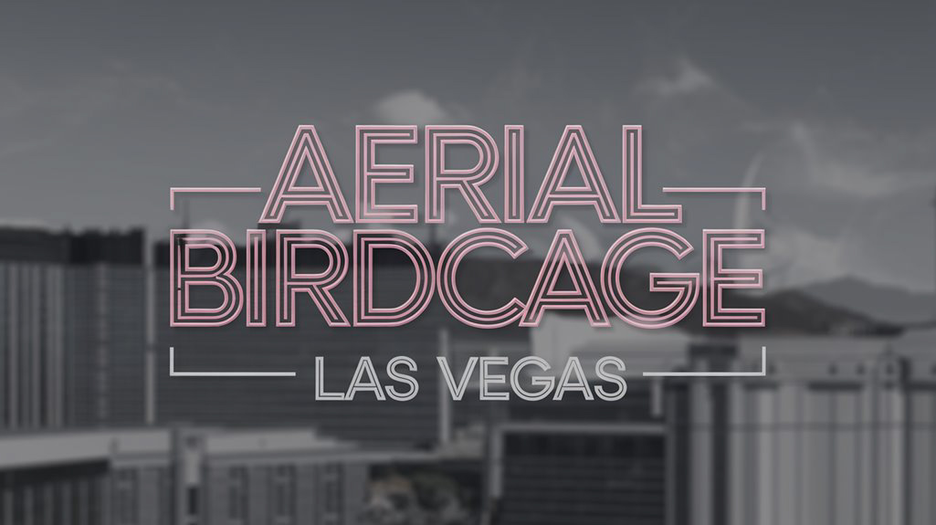 Aerial Birdcage Entertainment in Las Vegas